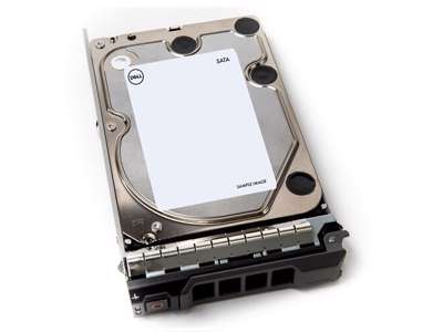 DELL 400-AEFB harddisk 1 TB 7200 rpm 3.5" Serial ATA III