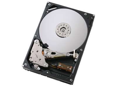 DELL 250GB SATA 3.5" harddisk 7200 rpm 3.5"