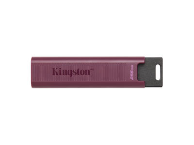 Kingston Technology DataTraveler 256GB Max Type-A 1000R/900W USB 3.2 Gen 2