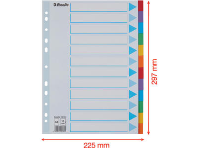 Faneblade, A4, 12-delt, Flerfarvet, Esselte 