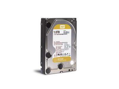 Western Digital Gold harddisk 1 TB 7200 rpm 128 MB 3.5" Serial ATA III