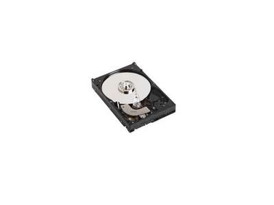 DELL 400-26810 harddisk 4 TB 7200 rpm 3.5" Serial ATA II