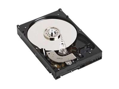 DELL 500GB SATA 3.5" harddisk 7200 rpm 16 MB 3.5" Serial ATA II