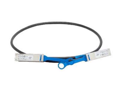 Intel 100FRRF0100 InfiniBand og fiberoptisk kabel 10 m QSFP28 Sort