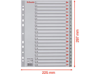 Registerblade, A4, 1-20, Grå, Esselte 