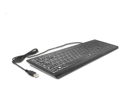 DeLOCK 12170 tastatur Universel USB QWERTZ Tysk Sort