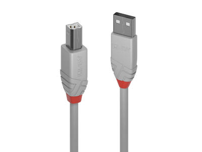 Lindy 36681 USB-kabel USB 2.0 0,5 m USB A USB B Grå