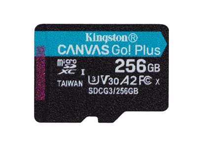 Kingston Technology 256 GB microSDXC Canvas Go Plus 170R A2 U3 V30, enkelt pakke uden ADP