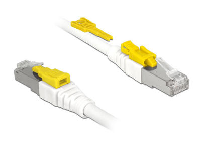 DeLOCK 85331 netværkskabel Hvid 1 m Cat6a S/FTP (S-STP)