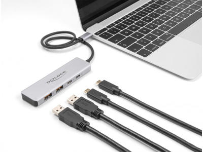 DeLOCK 64230 interface hub USB Type-C 10000 Mbit/s Grå