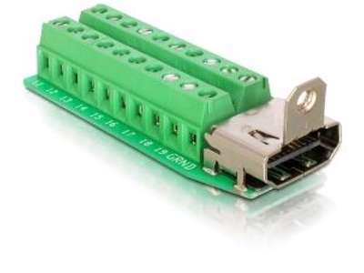 DeLOCK Adapter HDMI female > Terminal Block 20pin