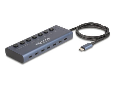 DeLOCK 63410 interface hub USB 3.2 Gen 1 (3.1 Gen 1) Type-C 5000 Mbit/s Blå