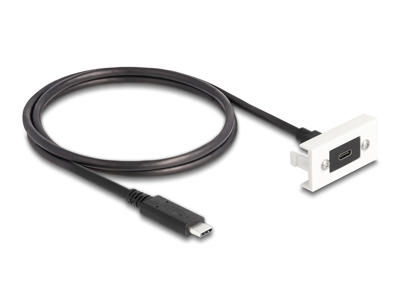 DeLOCK 81386 USB-kabel USB 3.2 Gen 2 (3.1 Gen 2) 1 m USB C Sort