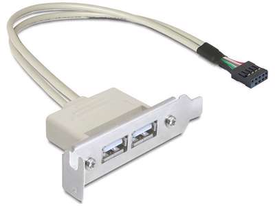 DeLOCK 0.5m Slotblech USB 2.0