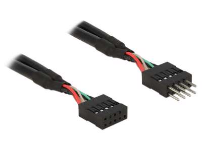 DeLOCK 0.1m 2xUSB2.0 10p