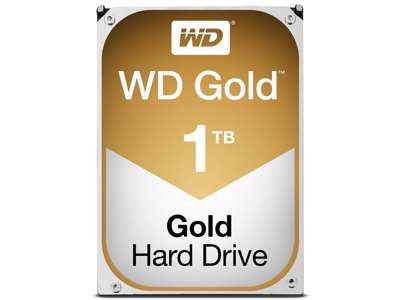 Western Digital Gold harddisk 1 TB 7200 rpm 128 MB 3.5" Serial ATA III