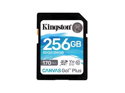 Kingston Technology 256 GB SDXC Canvas Go Plus 170R C10 UHS-I U3 V30