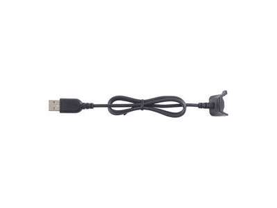 Garmin 010-12454-00 oplader til mobil enhed Andet Sort USB Indendørs, Udendørs