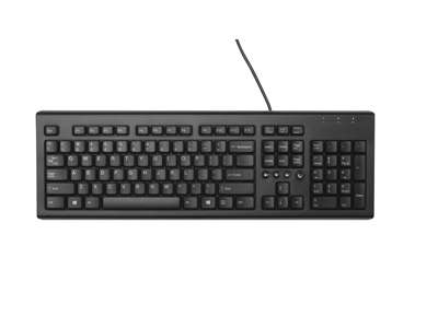 HP Classic Wired Keyboard