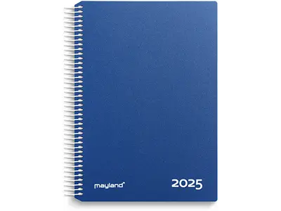 Kalender, 2025, Time, 1 dag pr. side, Blå, Mayland