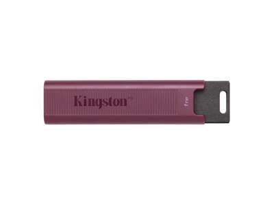 Kingston Technology DataTraveler 1TB Max Type-A 1000R/900W USB 3.2 Gen 2