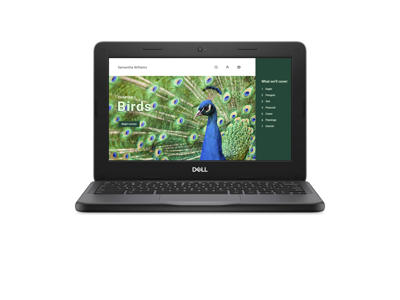 DELL Chromebook 3120 Intel® N N100 29,5 cm (11.6") HD 8 GB LPDDR5-SDRAM 64 GB eMMC Wi-Fi 6 (802.11ax) ChromeOS Sort