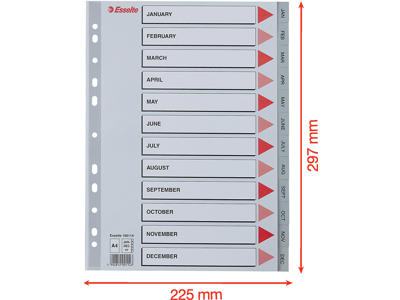 Registerblade, A4, Jan-dec, Grå, Esselte 