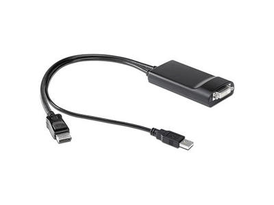 HP 572033-001 videokabel adapter 0,5 m 2x DisplayPort DVI-D Sort