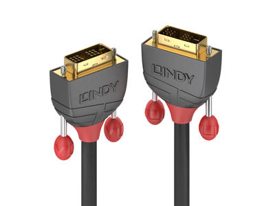 Lindy 36242 DVI kabel 20 m DVI-D Sort