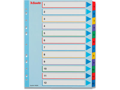 Registerblade, A4 Maxi, 1-12, Flerfarvet, Esselte Mylar 