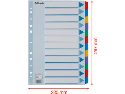 Faneblade, A4, 12-delt, Flerfarvet, Esselte Mylar 