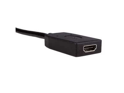 StarTech.com DP2HDMI videokabel adapter 0,24 m HDMI Type A (Standard) DisplayPort Sort