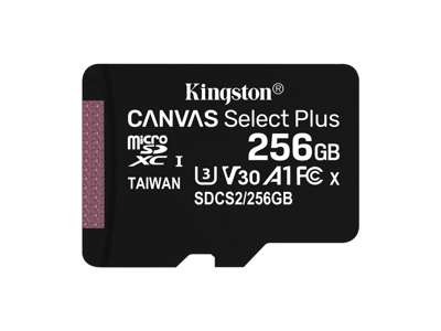 Kingston Technology 256 GB micSDXC Canvas Select Plus 100R A1 C10, enkelt pakke uden ADP