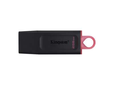 Kingston Technology DataTraveler Exodia - USB 3.2 Flash Drive