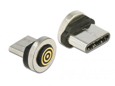 DeLOCK 65933 kabel kønsskifter USB Type-C magnet interface Sort, Rustfrit stål