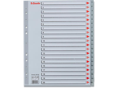 Registerblade, A4 Maxi, 1-20, Grå, Esselte 