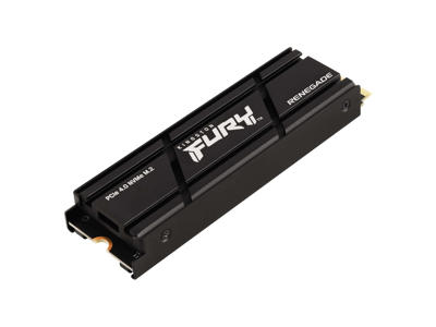 Kingston Technology 1000G RENEGADE PCIe 4.0 NVMe SSD M/HEATSINK