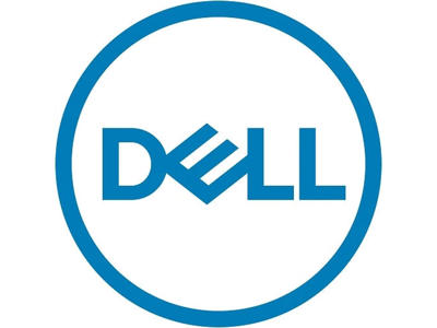 DELL 540-BDJD netværkskort Intern 2500 Mbit/s