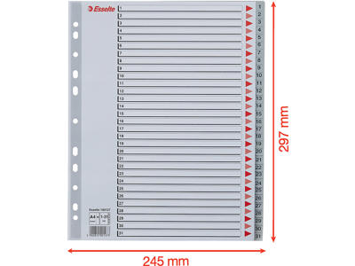 Registerblade, A4 Maxi, 1-31, Grå, Esselte 