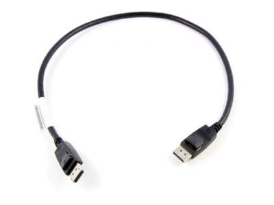 Lenovo 0.5m DisplayPort 0,5 m Sort