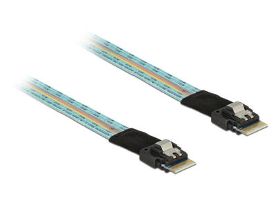 DeLOCK 85080 Serial Attached SCSI (SAS)-kabel 0,5 m 24 Gbit/sek.