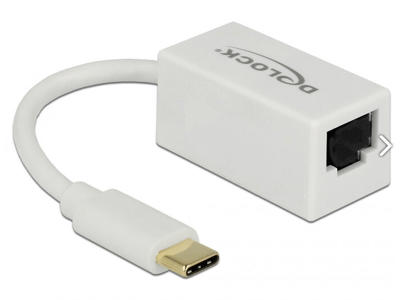 DeLOCK 65906 dockingstation USB Type-C Hvid