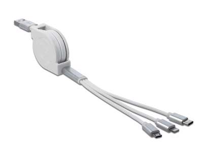 DeLOCK 85850 USB-kabel USB 2.0 0,98 m USB A USB C/Micro-USB B/Lightning Sølv, Hvid