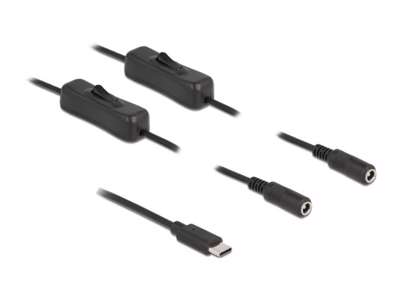 DeLOCK 86800 kabel kønsskifter USB Type-C 2 x DC 5.5 x 2.1 mm Sort