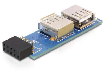 DeLOCK 9-pin 2.54 mm/2 x USB 2.0 1 x 9-pin 2.54 mm 2 x USB 2.0-A Sort, Blå, Sølv