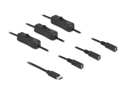 DeLOCK 86801 kabel kønsskifter USB Type-C 3 x DC 5.5 x 2.1 mm Sort