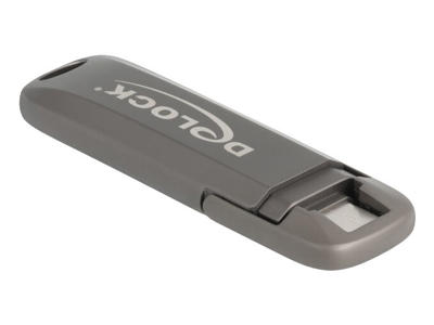 DeLOCK 54012 USB-nøgle 256 GB USB Type-C Grå