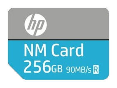 HP NM100 256 GB MicroSD UHS-III Klasse 10