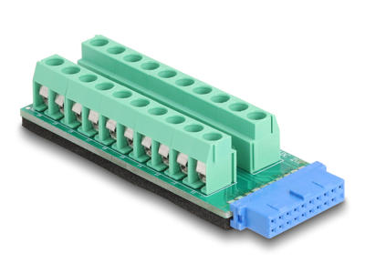 DeLOCK 67191 kabel kønsskifter USB header - 19 pin Terminal block - 20 pin Sort, Grøn