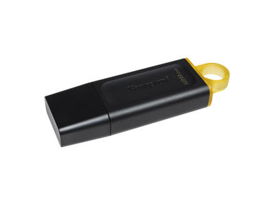 Kingston Technology DataTraveler Exodia - USB 3.2 Flash Drive